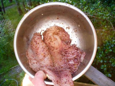 Cabazon in the bowl with sumac, garlic, peppercorns, olivoil