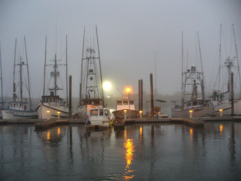 Harbor at foggy dawn.