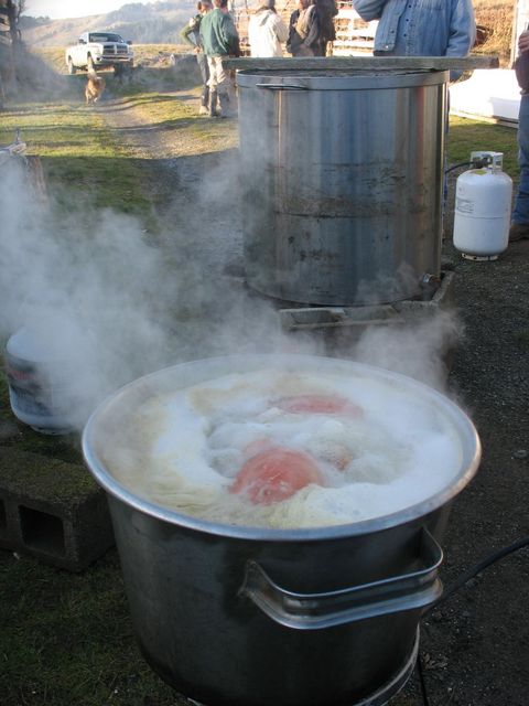 Dungeness Crab Boil