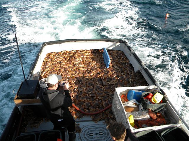 Dungeness Season 2009-2010 Deck Loading