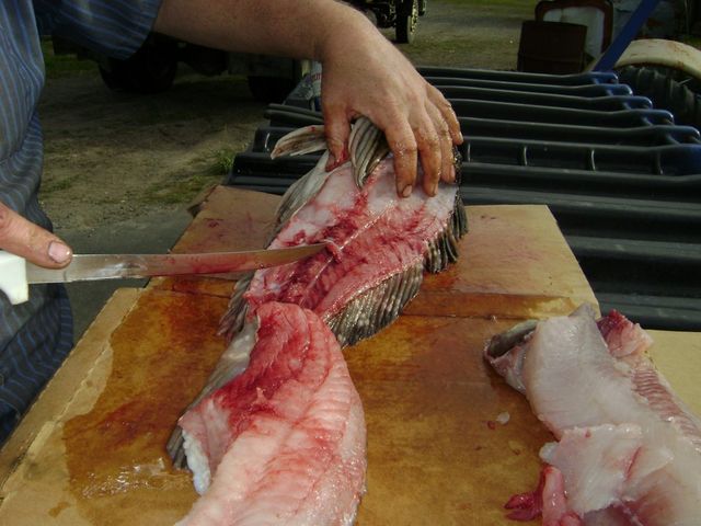 Filleting Cabazon at the Gas Station