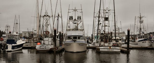 Harvester in Port