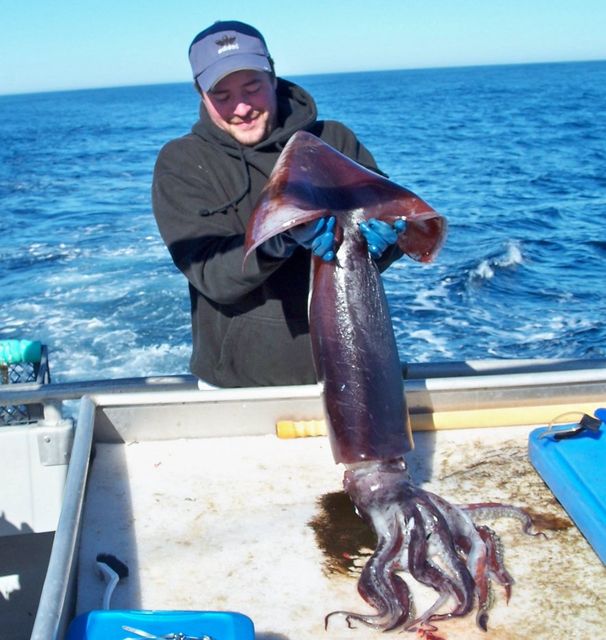 Royce Gives some Love to a Humboldt Squid Royce Gives some Love to a Humboldt Squid