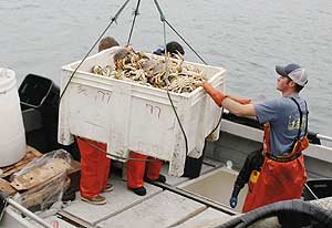 The World Newspaper Ocean Harvest Photo